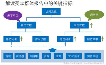 唯一访问者的识别